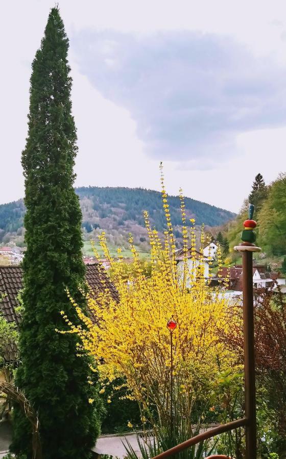 Apartamento Casa La Collina Delle Ginestre Eberbach  Exterior foto